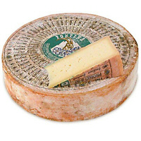 Fontina